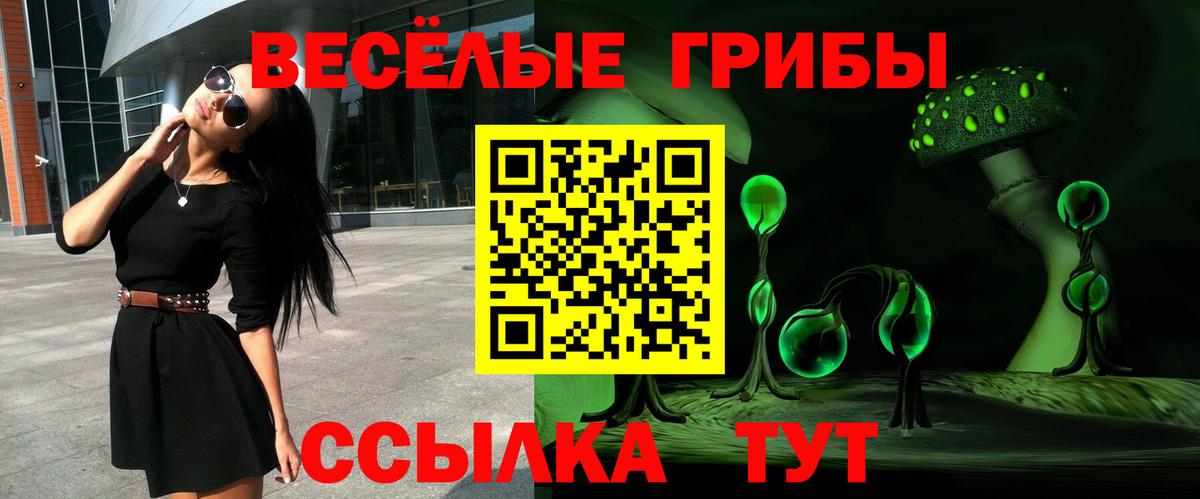 Псилоцибиновые грибы Cubensis  купить наркоту  Ярославль  Вход с VPN 